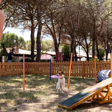 Punta Spin Kompleks wypoczynkowy