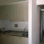Punta Spin 4* Grado