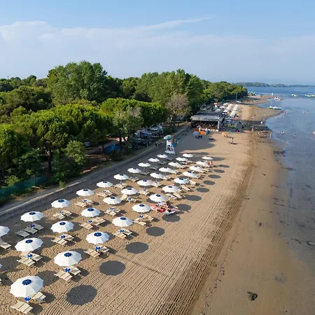 Punta Spin Grado
