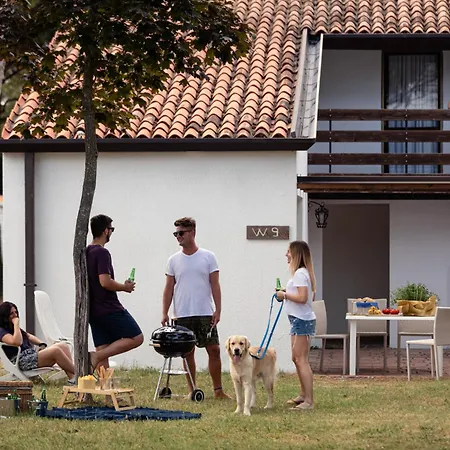 Punta Spin 그라도