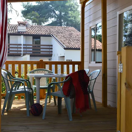 Punta Spin 4* 그라도