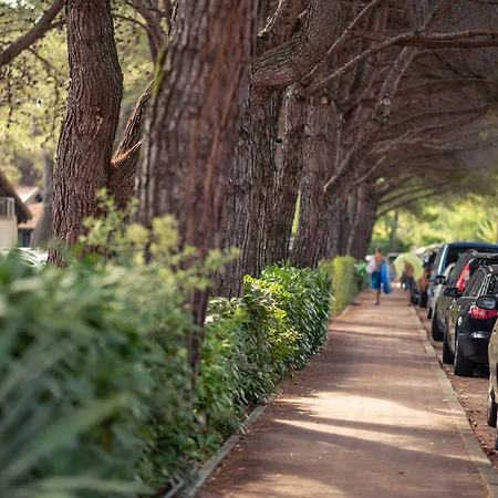 홀리데이파크 Punta Spin