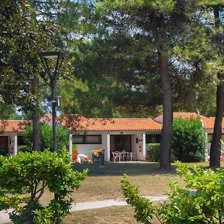 Punta Spin 4* Grado