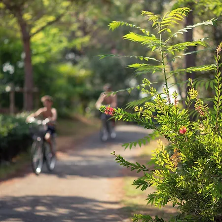 Punta Spin 그라도